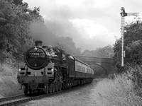 UG25 52DM_2000FC-C_CFV50c_Sonnar150