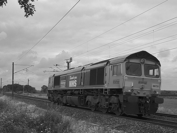 UF19 52DM_NikonDf_AF-Nikkor50D