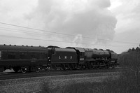 TB15 57DM_NikonDf_AF-SNikkor28-300G