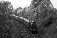 RE26 54DM_NikonDf_Sonnar180
