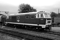 2015_10_04 Autumn Gala