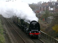 2012_03_15 Duchess Test Run