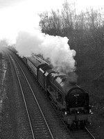 QL16 54DM_500CM_P21_Planar80