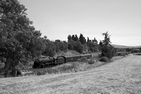 UG17 52DM_NikonDf_AF-SNikkor28-300G@44mm