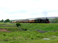 45428