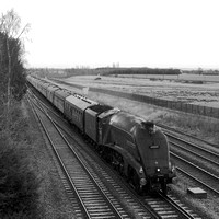 QL16 58DM_2000FC_CFV50c_Planar80