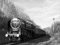 RL08 53DM_2000FC_CFV50c_Planar80