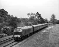 OE31 53M_Pentax6x7_400TX_Takumar150