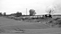 WB18 71DM_Canon6D_EF70-300L@176mm