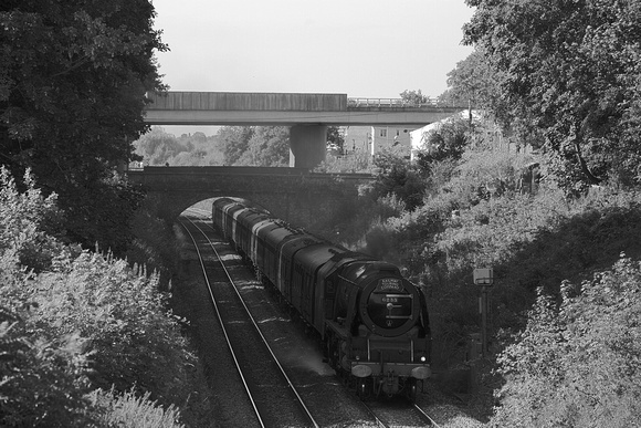 VG16 57DM_Canon6D_EF70-300L@188mm