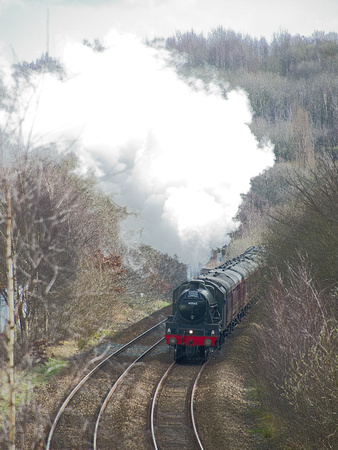 TB29 01DC_NikonDf_AF-SNikkor28-300G