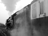 RL26 54DM_500CM_P21_Planar80