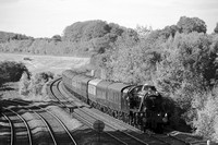 RI29 51DM_Canon6D_EF70-300L