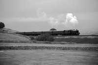 TH23 64DM_NikonDf_AF-SNikkor28-300G@170 mm