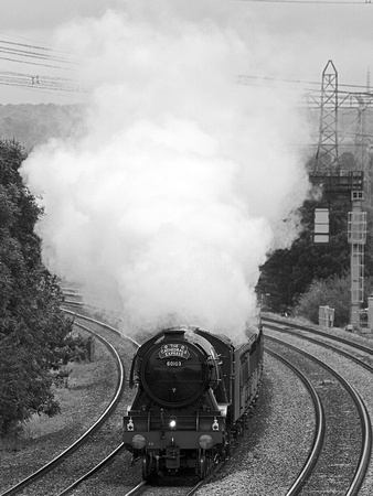 QI15 51DM_6D_EF70-300L