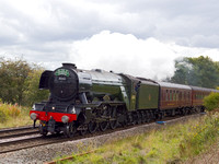 QI15 05DC_6D_EF50