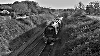 VK19 59DM_NikonDf_AF-NikkorD50mm