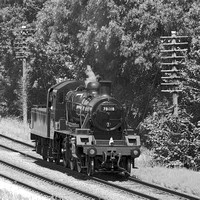 RG01 52DM_Canon6D_EF70-300L