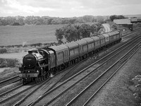 SE26 56DM_NikonDf_AF-SNikkor28-300G