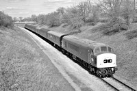 WD08 53DM_NikonDf_AF-NikkorD50mm