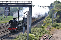 60103 FLYING SCOTSMAN