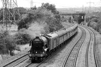 QI15 52DM_6D_EF70-300L