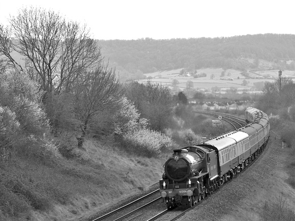 WD08 53DM_NikonDf_AF-SNikkor28-300G@150mm
