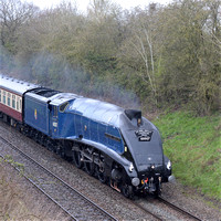 60007 SIR NIGEL GRESLEY