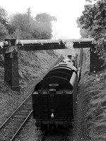 SK03 53DM_500CM_P21_Planar80
