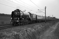 SL14 51DM_NikonDf_AF-SNikkor18_300G