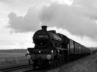 PF25 52DM_500CM_CFV50c_Planar100