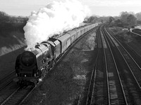 PL17 55DM_2000FC_CFV50c_Planar100