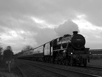 UL08 52DM_NikonDf_AF-Nikkor50D