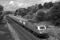 UF26 60DM_NikonDf_AF-Nikkor50D