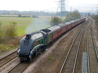 TC07 10DC_NikonDf_AF-SNikkor28-300G