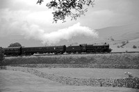 TH23 67DM_NikonDf_AF-SNikkor28-300G@90 mm