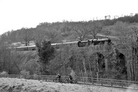 WB18 53DM_NikonDf_AF-SNikkor28-300G@42mm