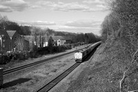 VC06 53DM_NikonDf_AF-Nikkor50D