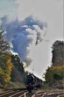 VK19 05DC_Canon6D_EF70-300L@300mm