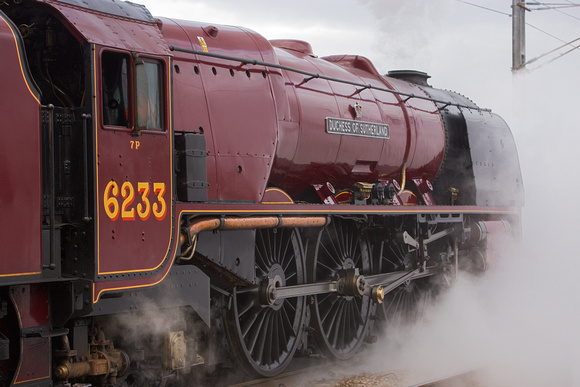 VB12 05DC_Canon6D_EF70-300L@100mm