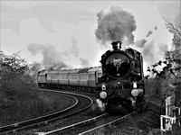 VL06 55DM_Canon6D_EF70-300L@214mm