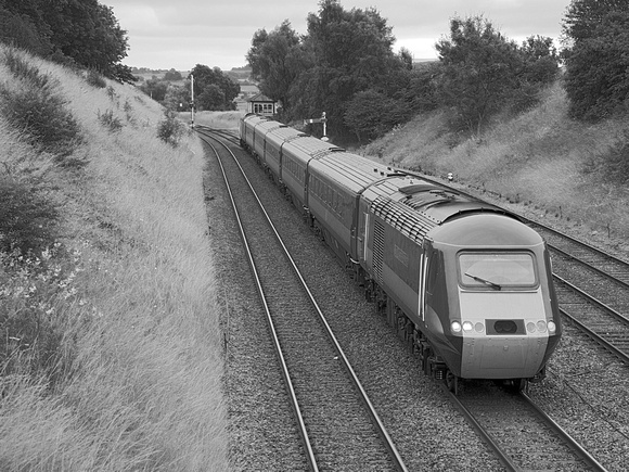 UG24 53DM_NikonDf_AF-SNikkor28-300G@78mm
