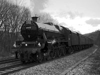 TB29 71DM_NikonDf_AFNikkor50D