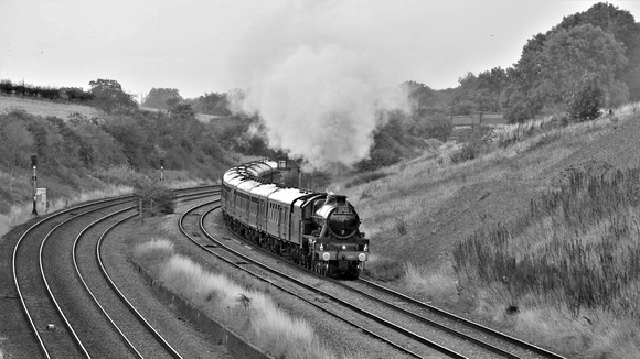 WH26 55DM_Canon6D_EF70-300L@300mm