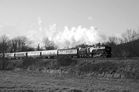 TB08 56DM_NikonDf_AF-SNikkor28-300G
