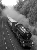 QH06 54DM_2000FC_CFV50c_Planar80