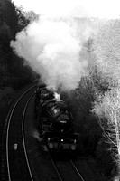 OK01 53DM_300D_Takumar105