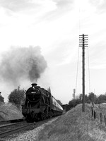 PE08 51DM_6D_EF85
