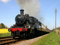 ND15 04D_300D_Flektogon35