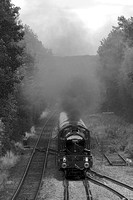 SH18 56DM_NikonDf_AF-SNikkor28-300G